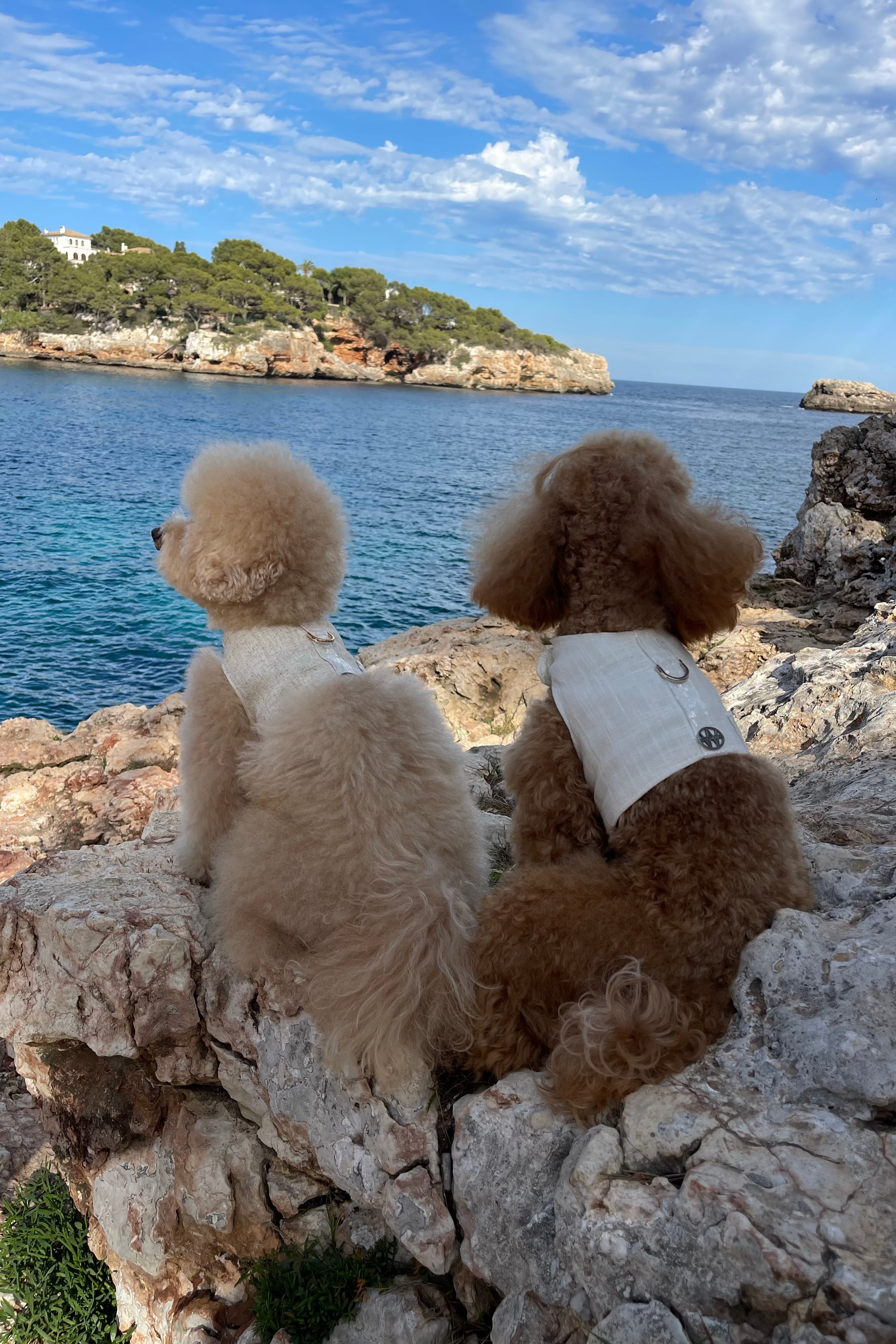 Arnés de lino de viscosa con lentejuelas italianas I Elegancia esencial