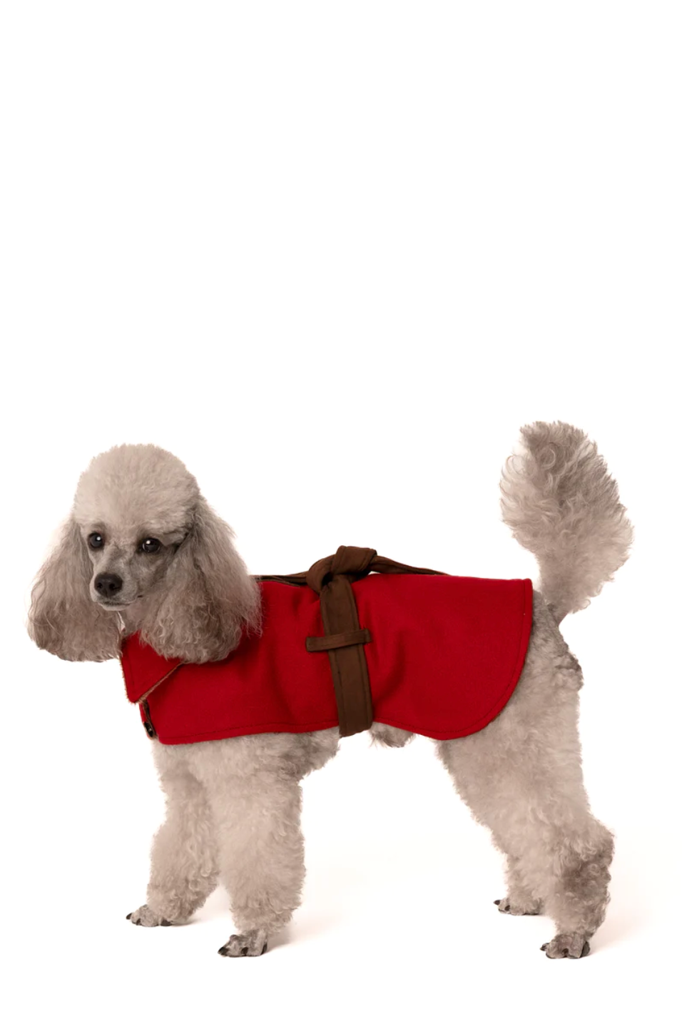 OUR DOGGIE COAT | WOOL