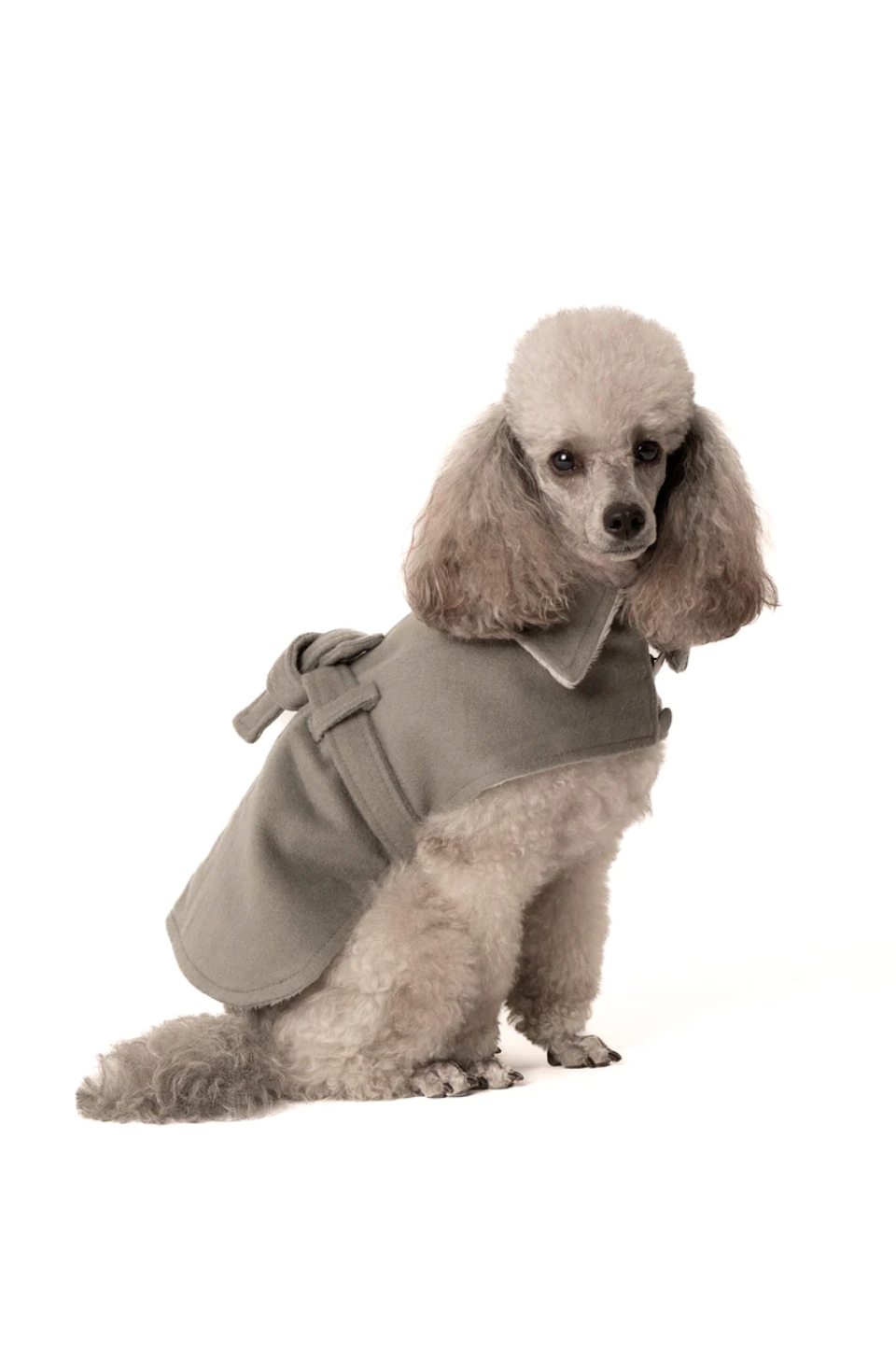 OUR DOGGIE COAT | WOOL