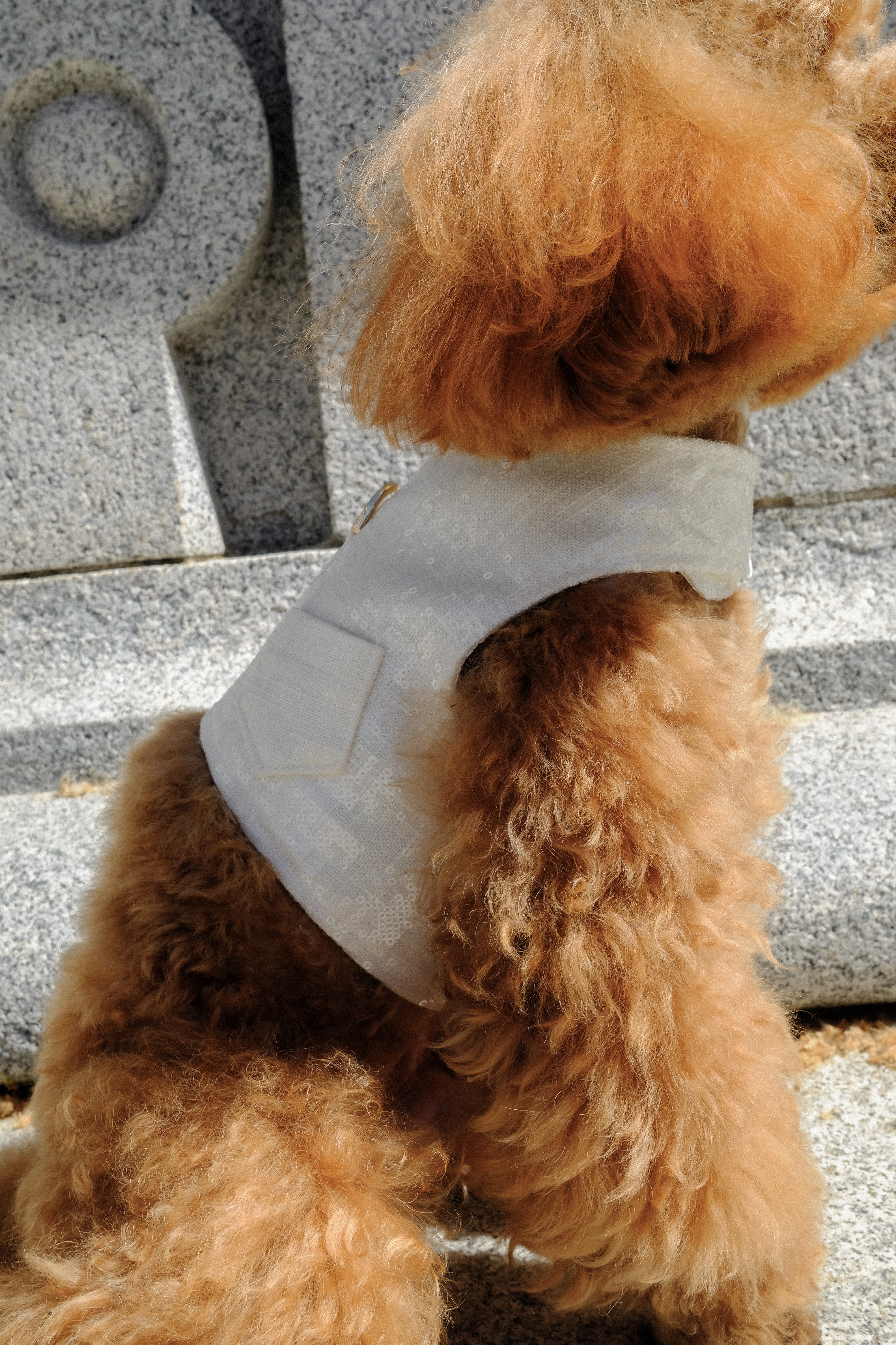 Arnés de lino italiano bordado en lentejuelas I Edición limitada