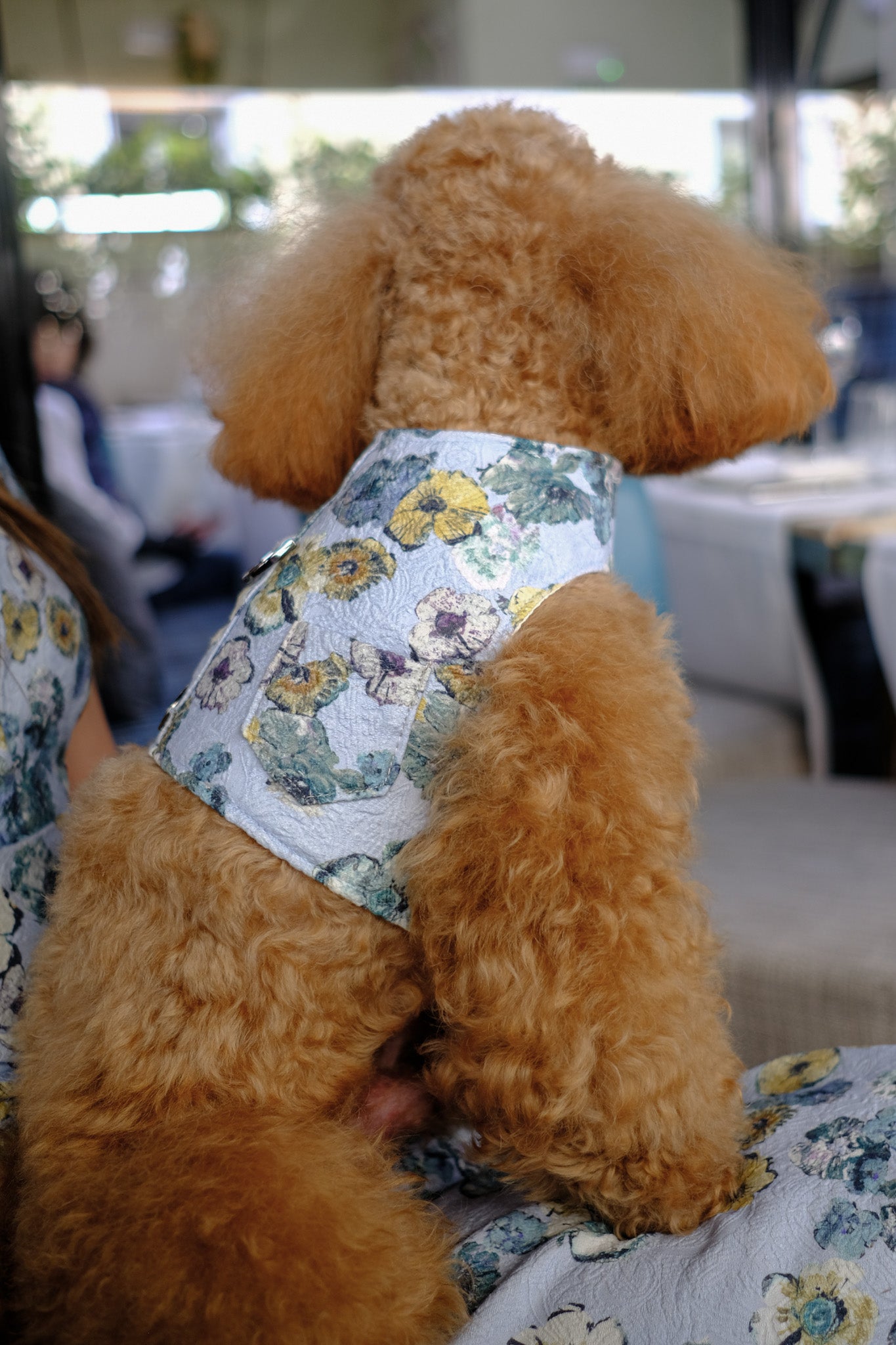 Arnés unisex de lujo con bolsillo