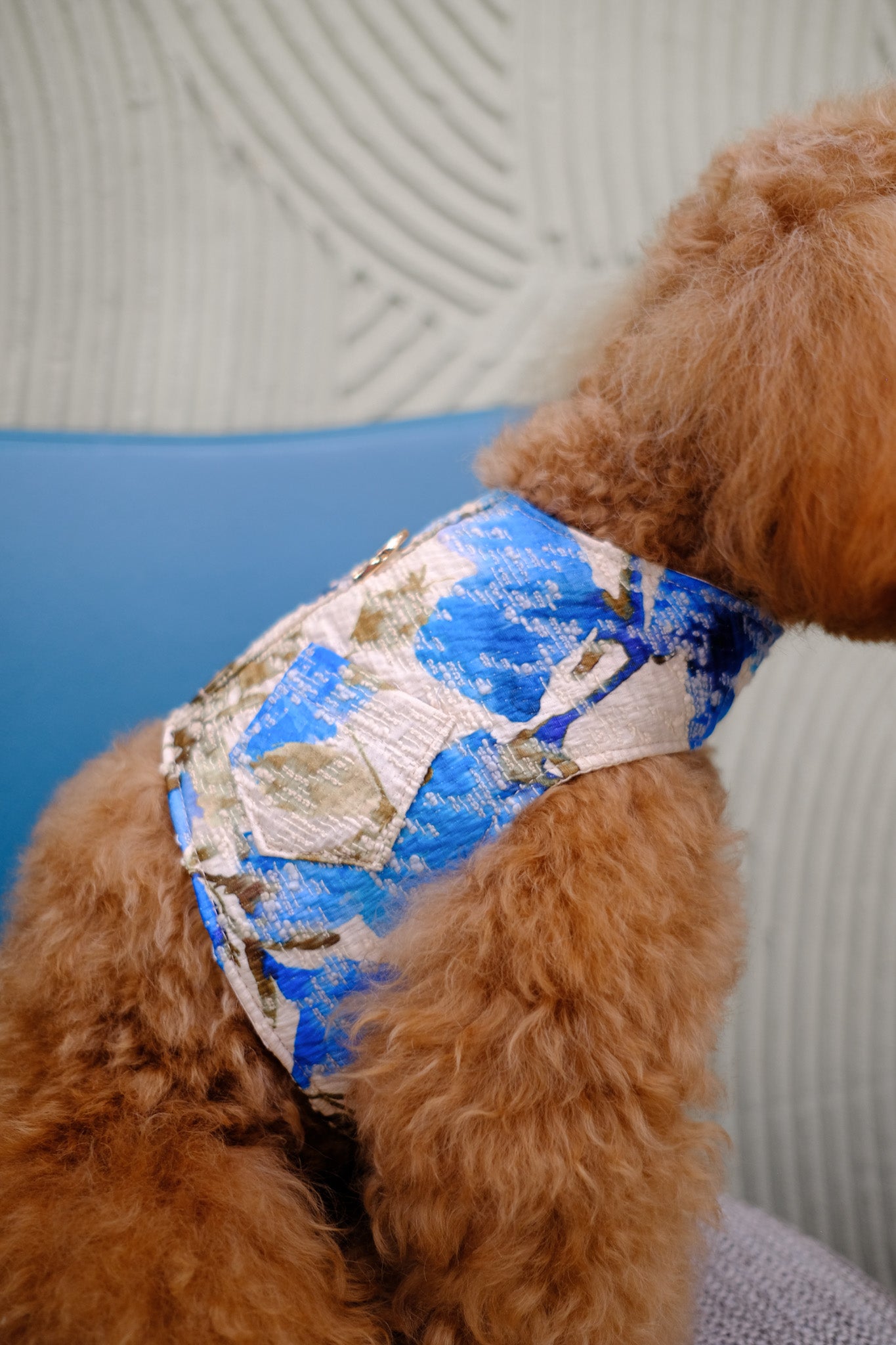 PET COLLECTION - BLUE PRINTED LINEN HARNESS