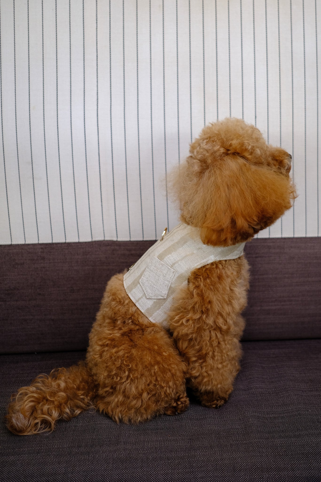 Arnes de lini-viscosa con lentejuelas italianas