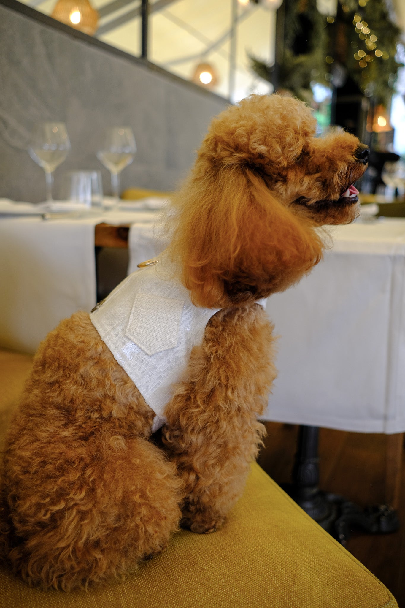 Arnés de lino italiano con rayas bordadas en lentejuelas