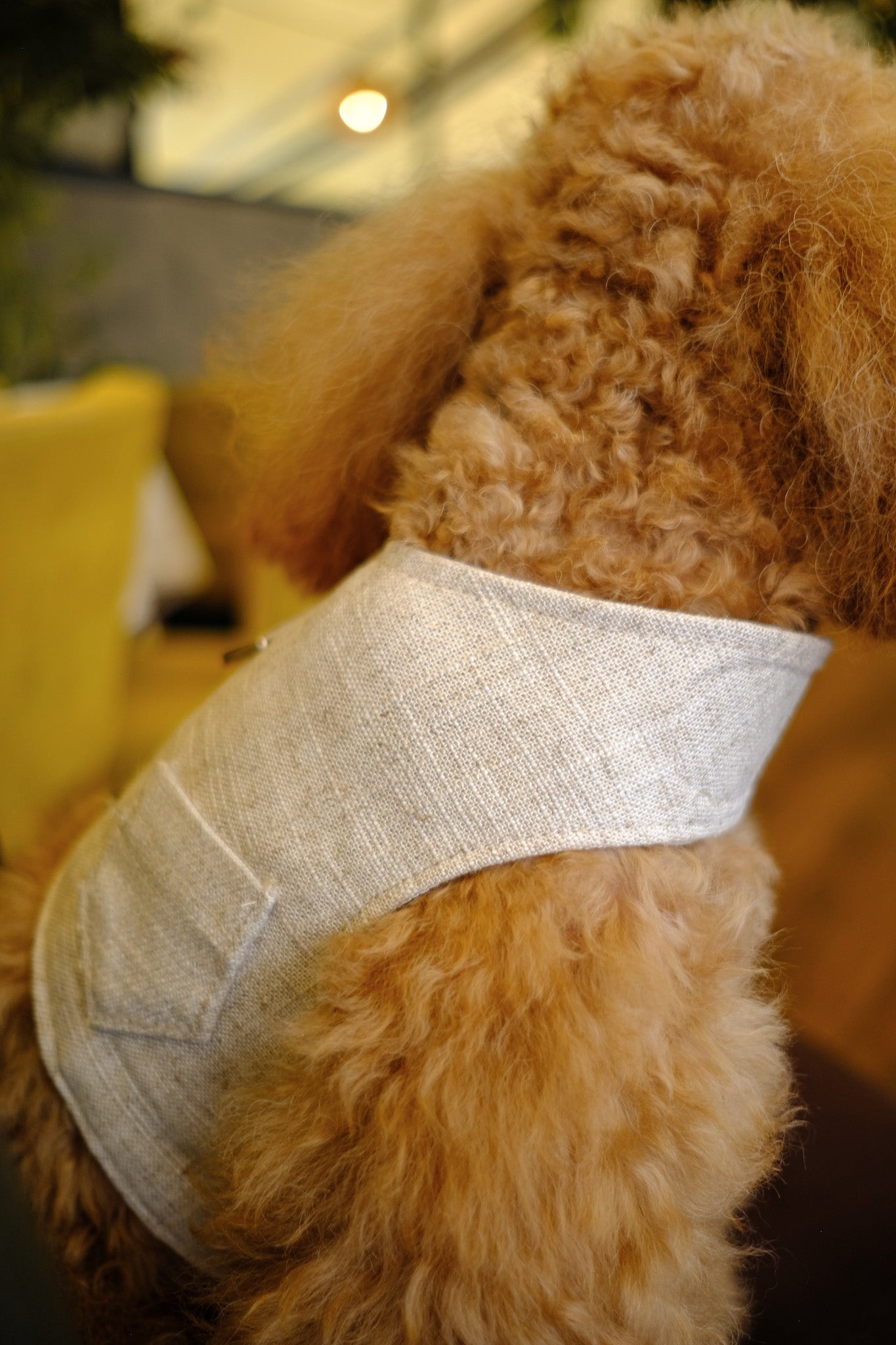 Arnés de lino de viscosa con lentejuelas italianas I Elegancia esencial