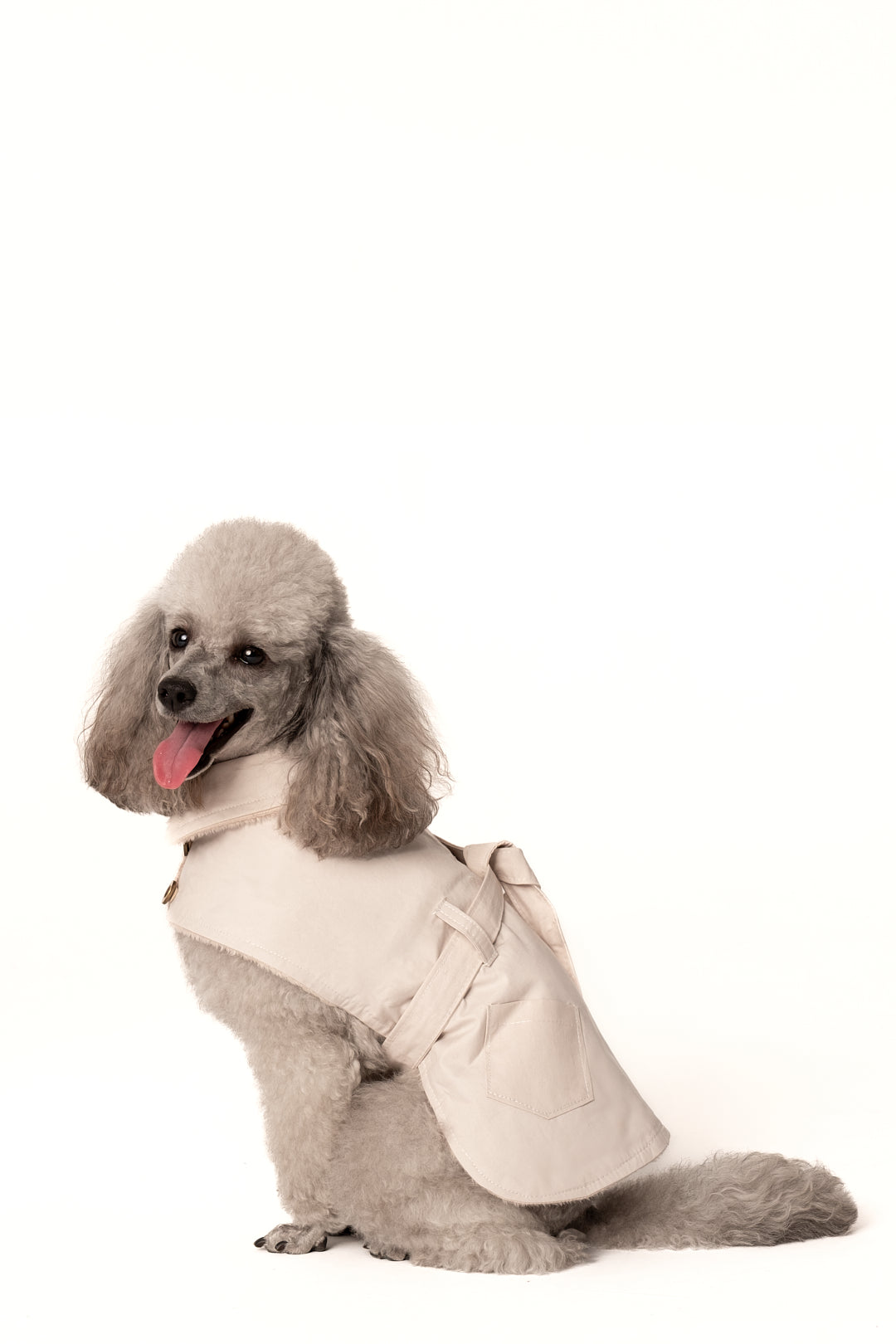 Gabardina en algodón para perros