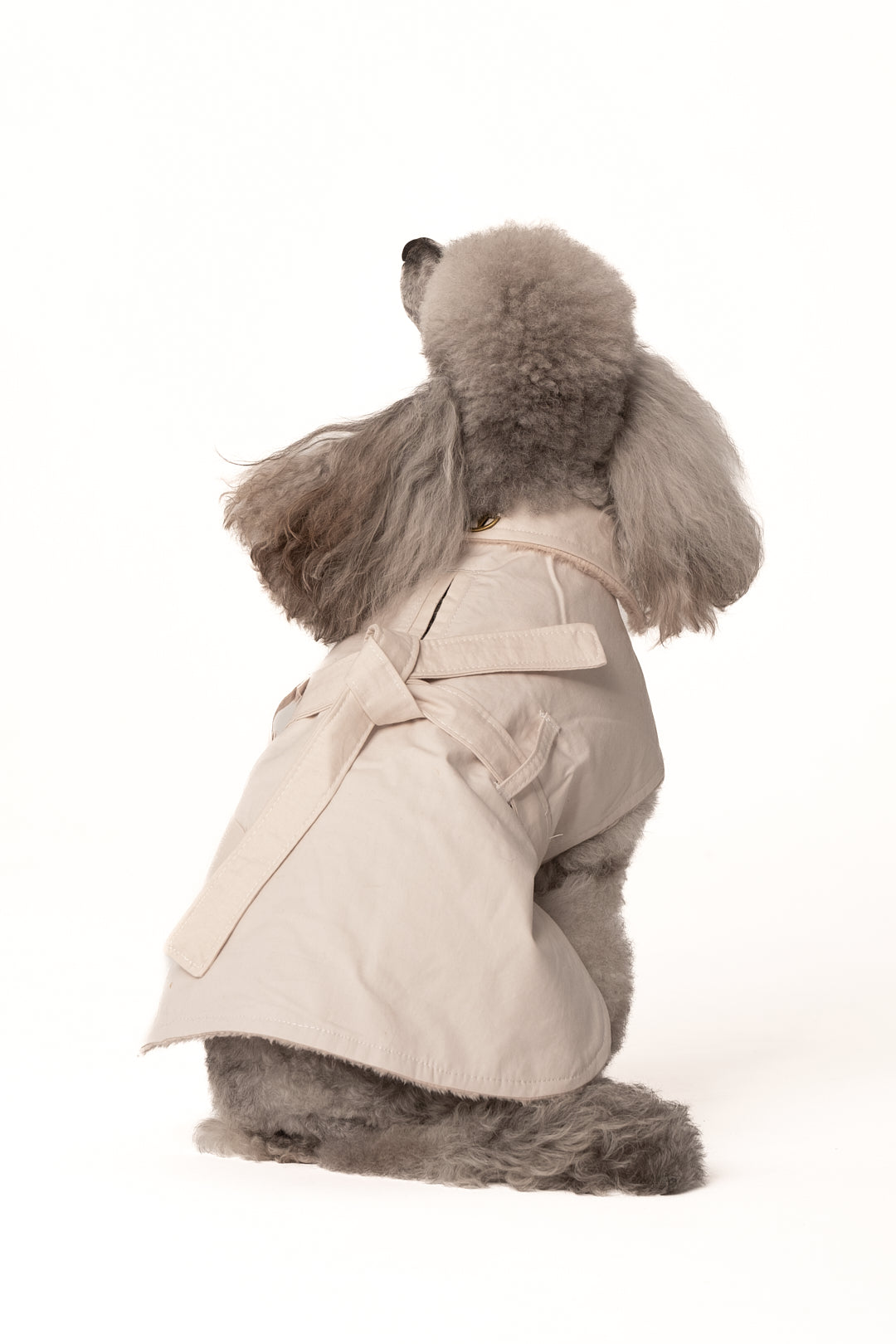 My Doggie Coat | Rain Jacket