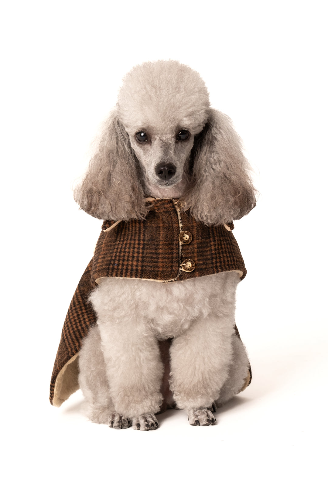 OUR DOGGIE COAT | WOOL