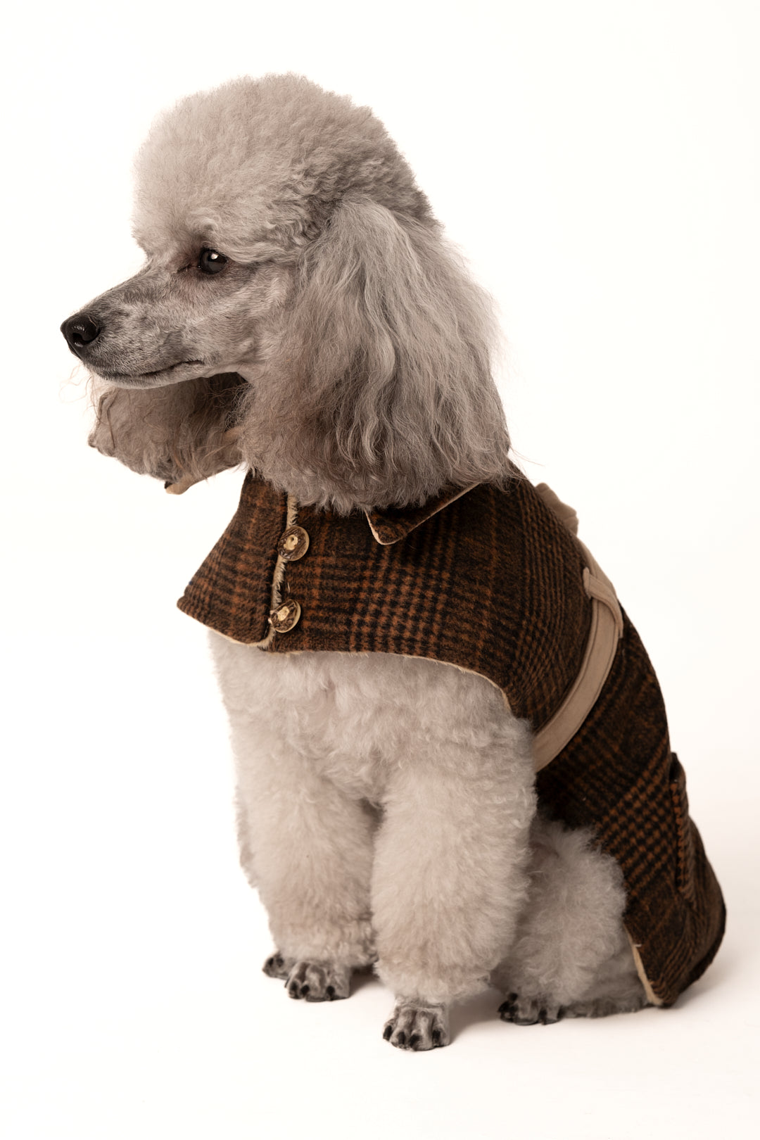 OUR DOGGIE COAT | WOOL