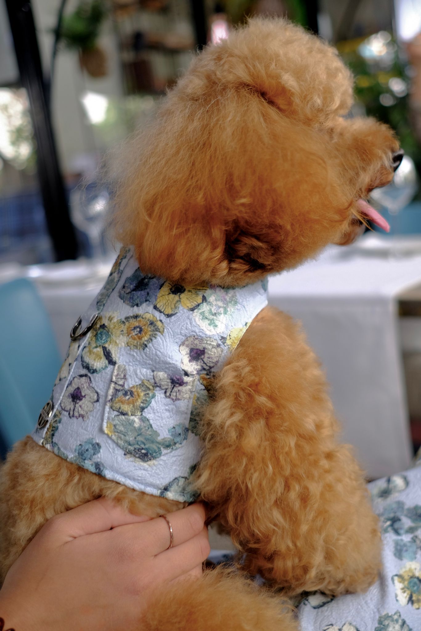 Arnés unisex de lujo con bolsillo