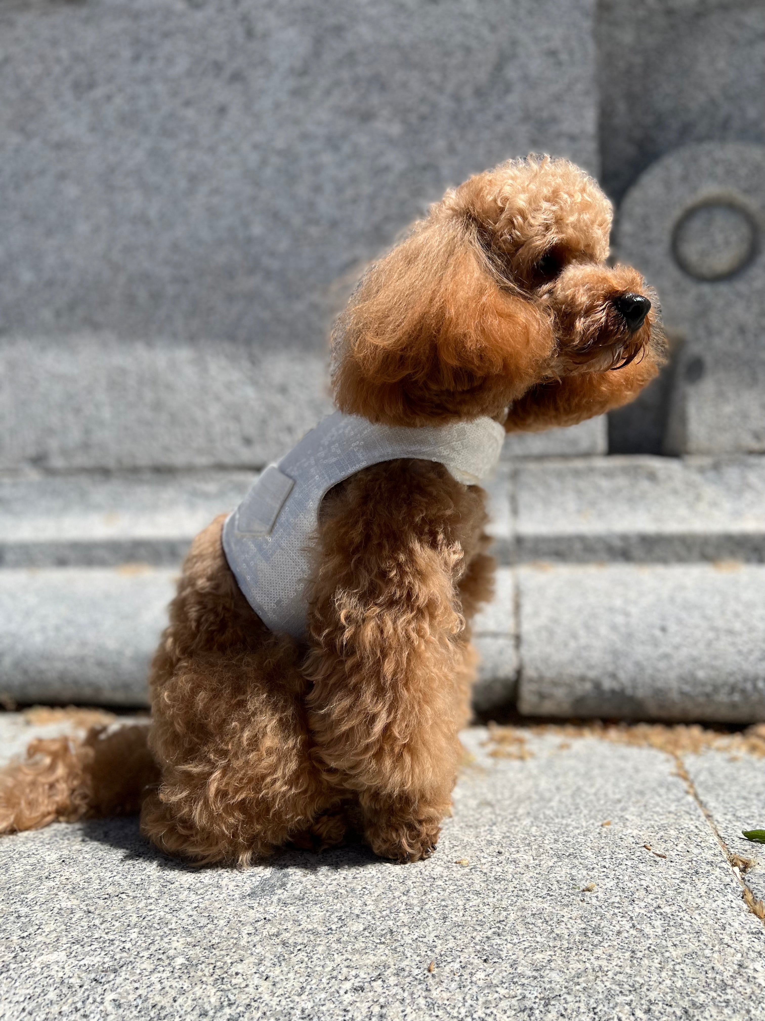 Arnés de lino italiano bordado en lentejuelas I Edición limitada