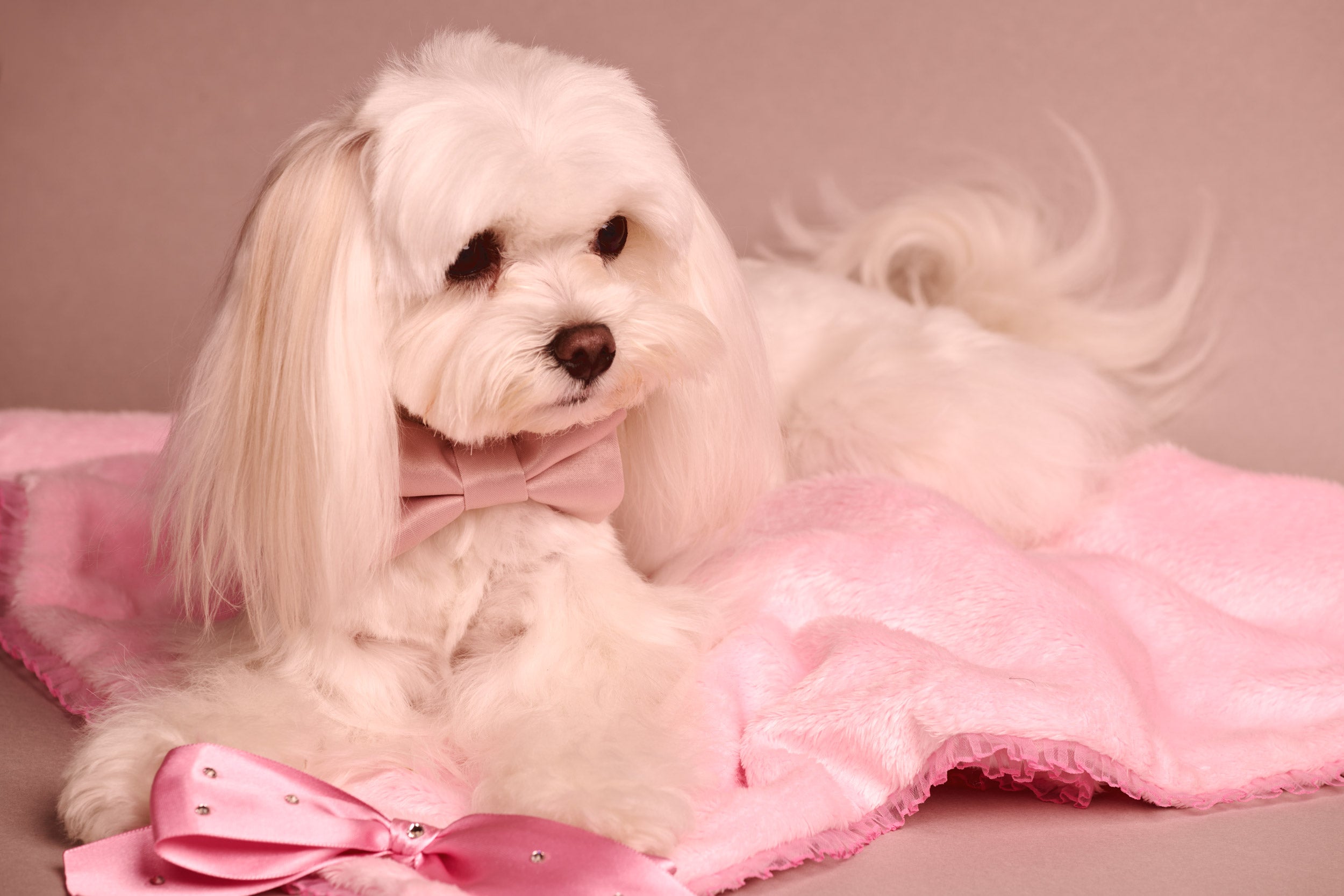 Manta con puntilla en organza y lazo