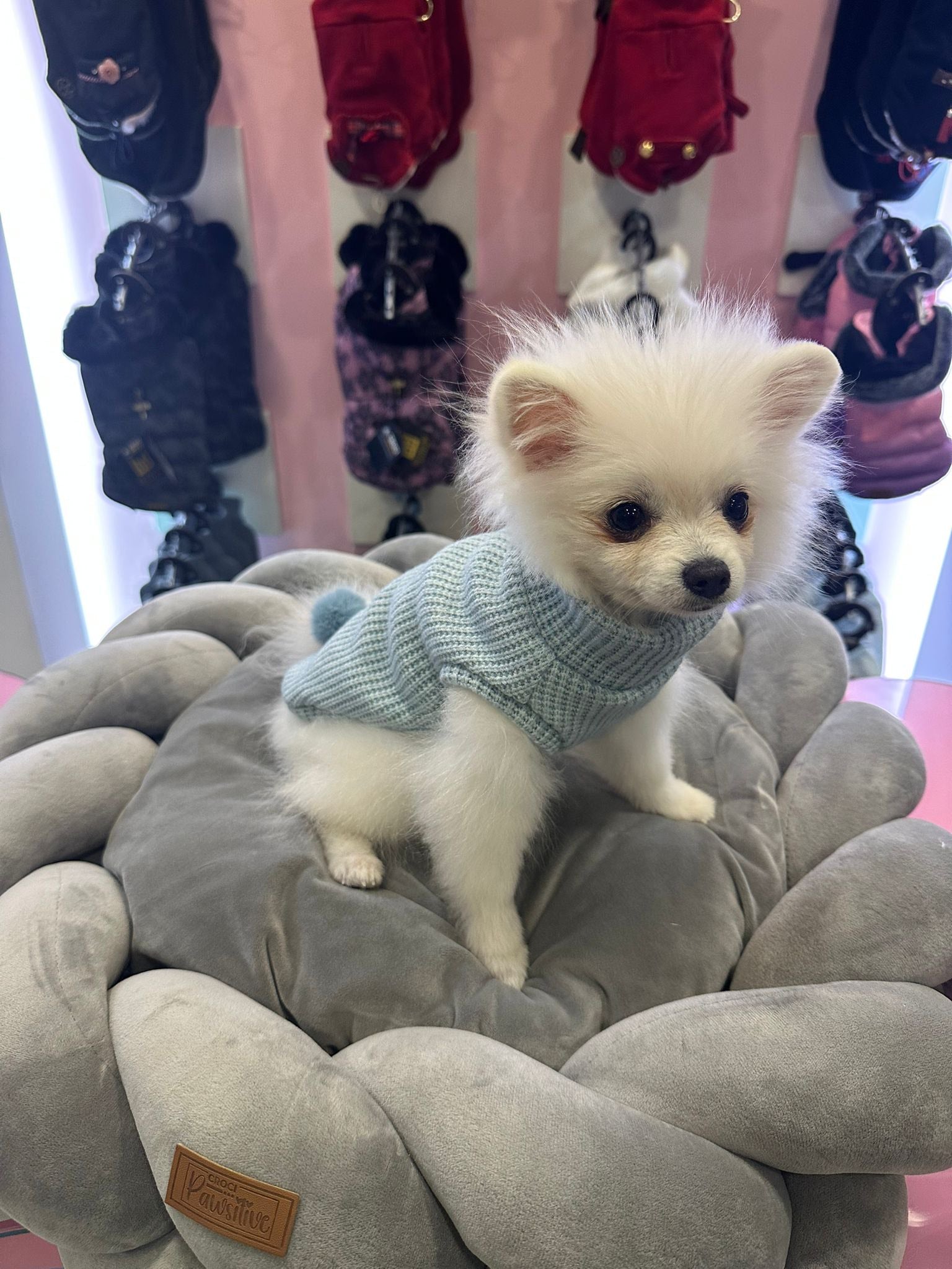 Jersey con pompón desmontable