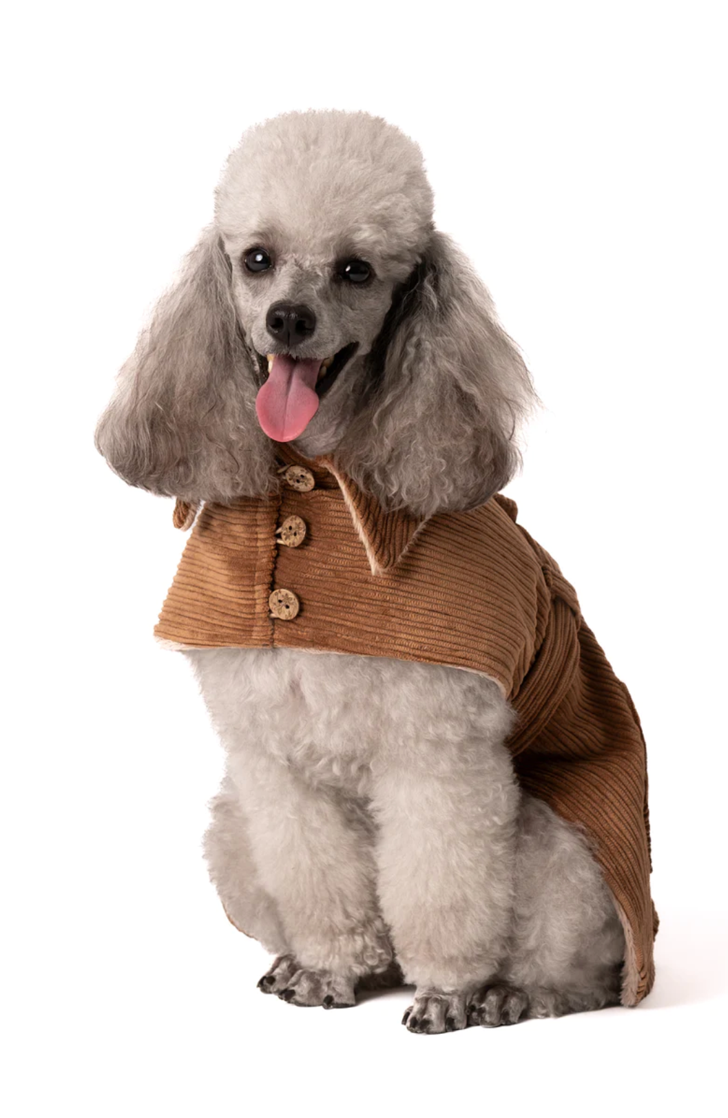My Doggie coat | Corduroy