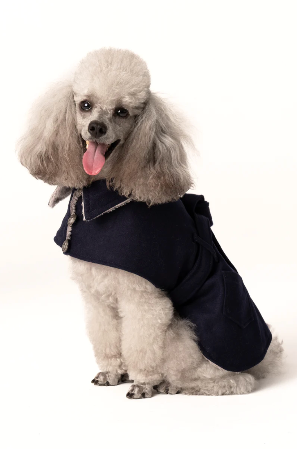 My Doggie Coat | Wool