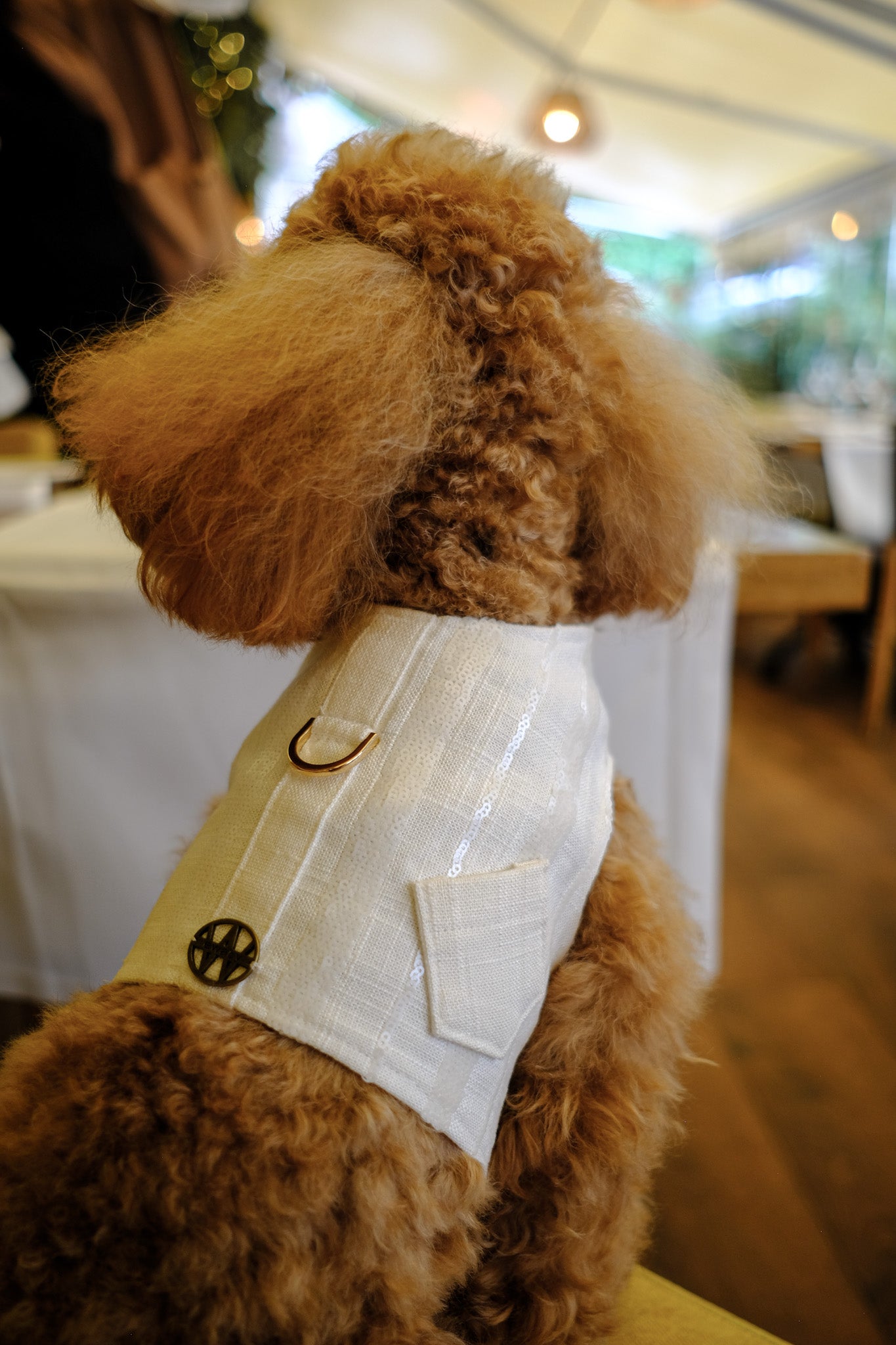 PET COLLECTION -  HARNESS EMBROIDERED LINEN OCHRE COLOR