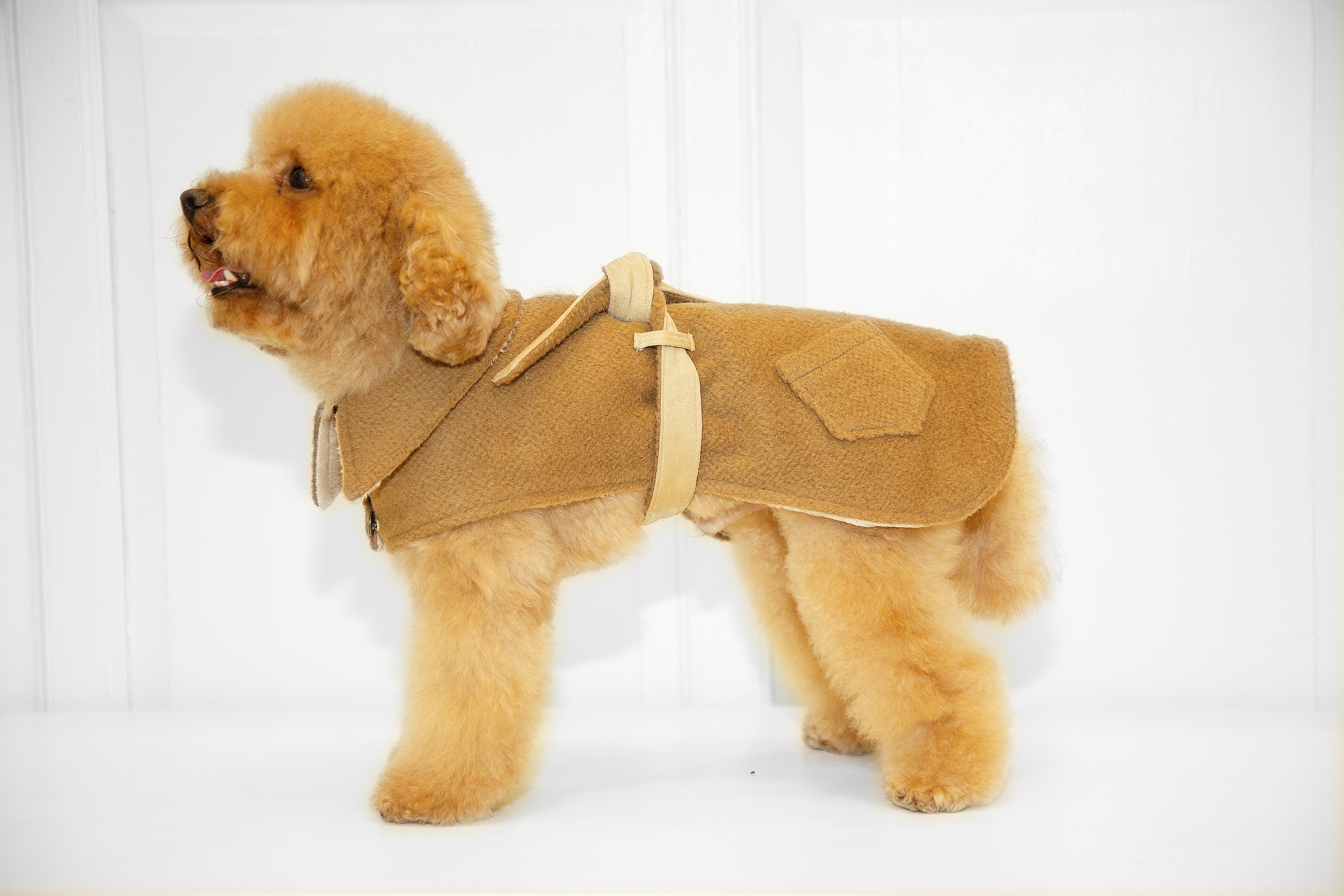 Luca / Capa de Alpaca – Elegancia y Calidez para Mascotas con Estilo